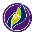 Susan Samueli Integrative Health Institute
